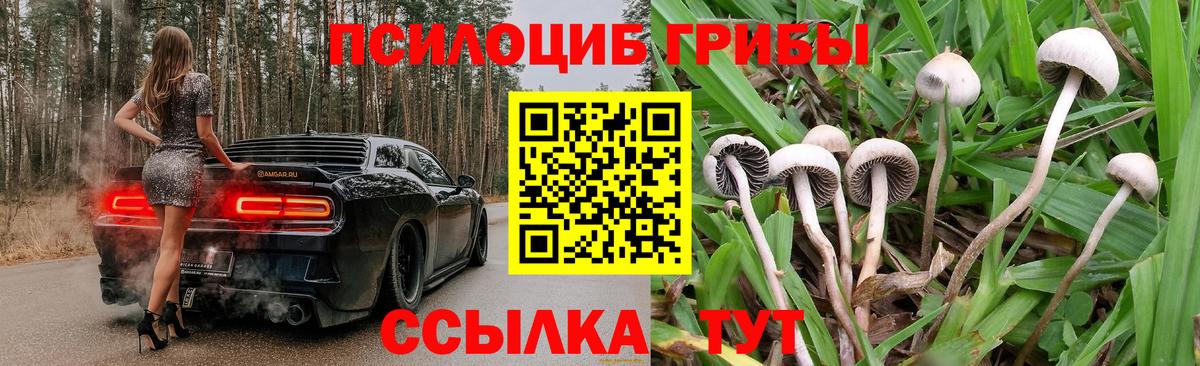 Псилоцибиновые грибы Magic Shrooms  Псилоцибиновые грибы Psilocybine cubensis  Вход с VPN  Лянтор 